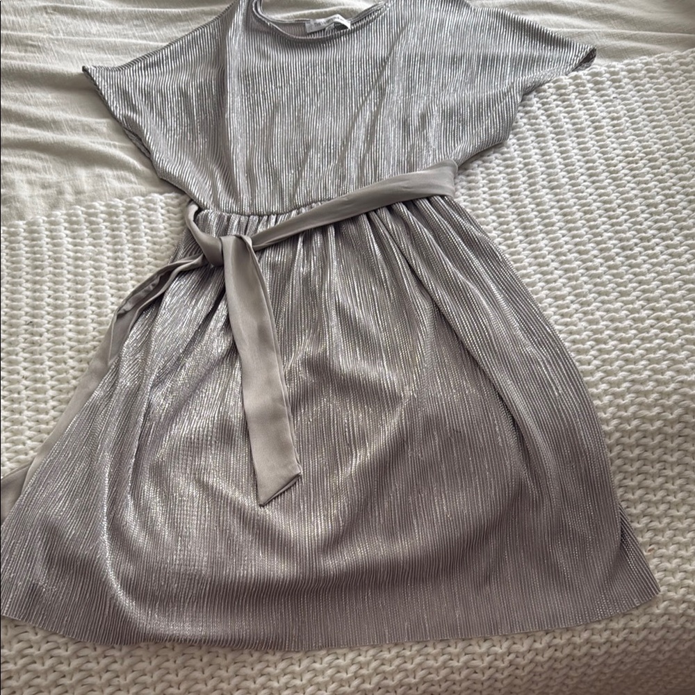 The Vanity Room Silver Dress